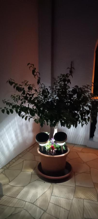 Buergerhaus Zeltingen Apartment I Екстер'єр фото